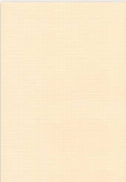 Vierkant karton 13,5 X 27 cm Nr 07 Charmois per 5 vel