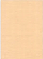 Vierkant karton 13,5 X 27 cm Nr 08 Lichtbruin per 5 vel