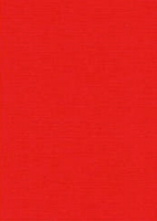 Vierkant karton 13,5 X 27 cm Nr 13 Rood per 5 vel