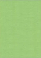 Vierkant karton 13,5 X 27 cm Nr 21 Meigroen per 5 vel