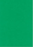 Vierkant karton 13,5 X 27 cm Nr 22 Groen per 5 vel