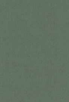 Vierkant karton 13,5 X 27 cm Nr 41 Mosgroen per 5 vel